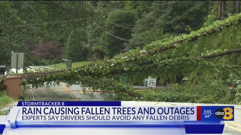 Rain Causing Fallen Trees and Outages | Haystack News