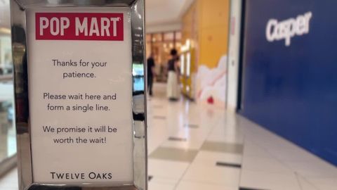 Long lines form at Twelve Oaks mall for Labubu craze Haystack News