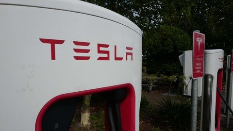 Why Cathie Wood is buying more Tesla stock | Haystack News